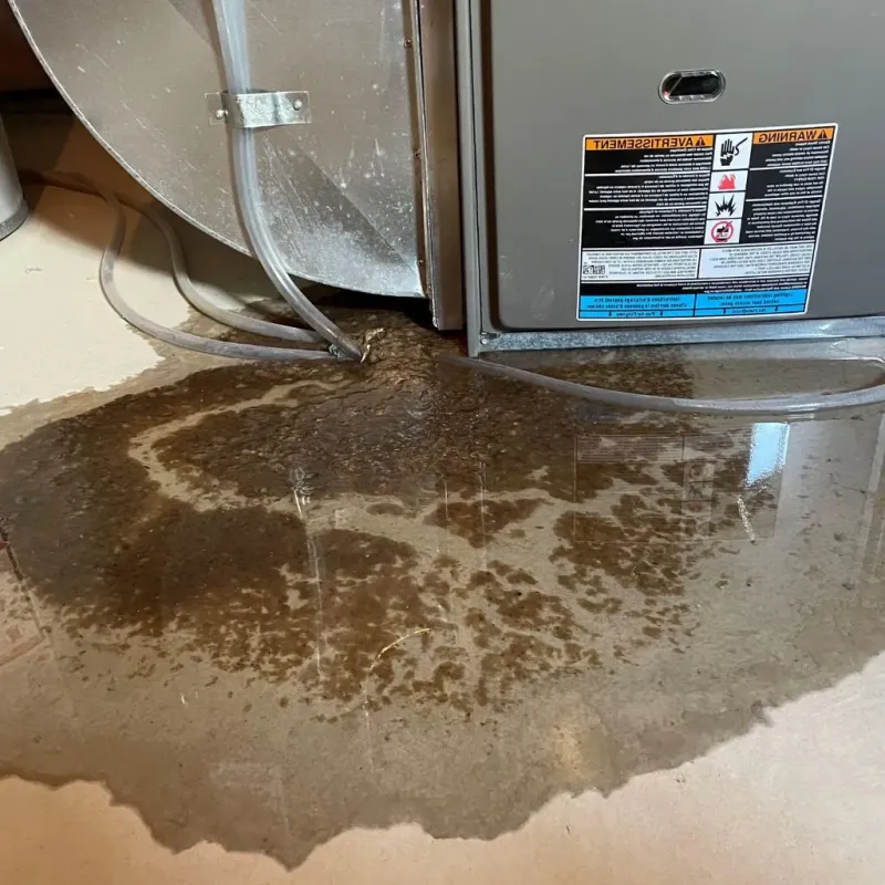 Pipe Burst and Leak Restoration in Hoosick Falls, NY
